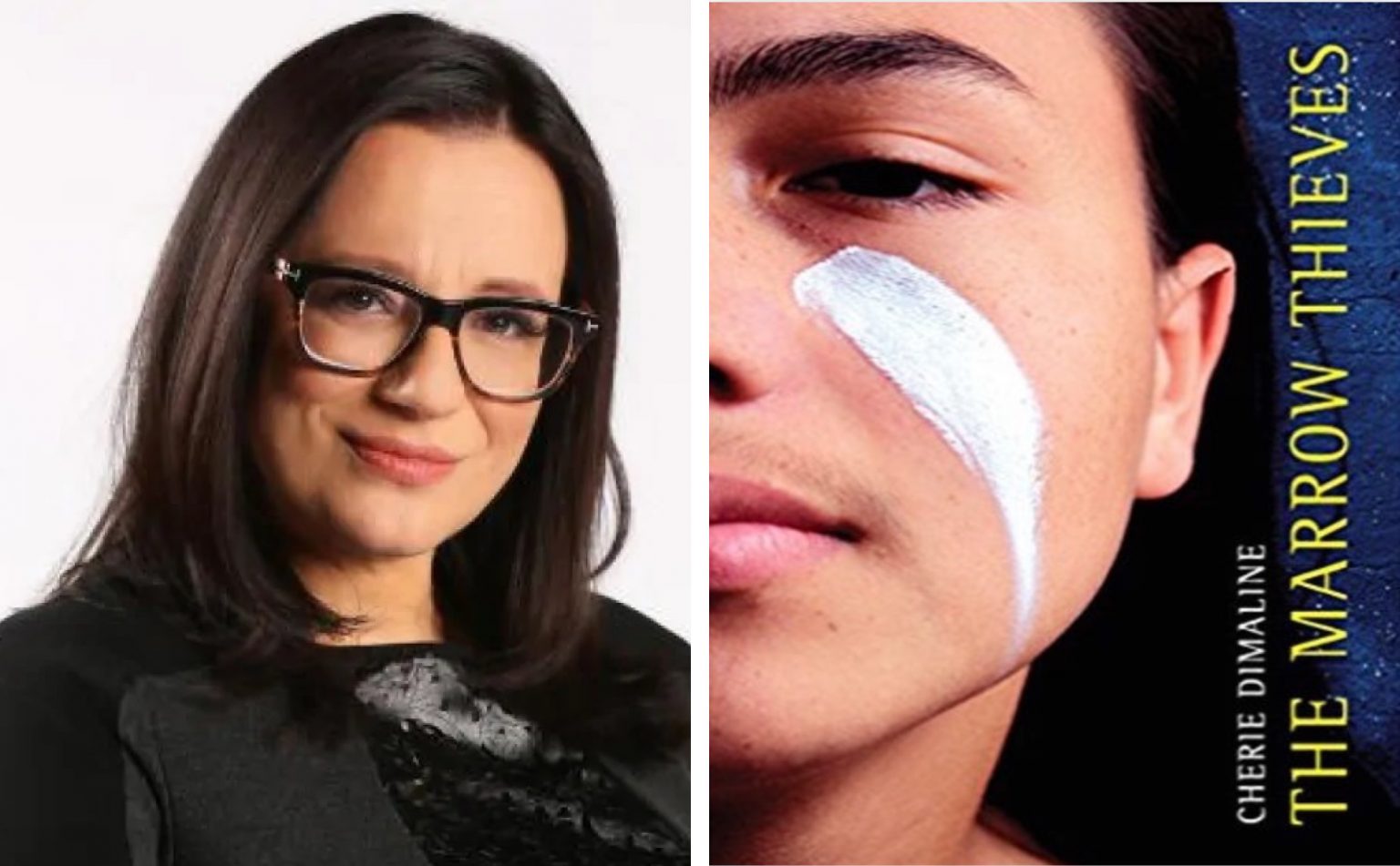 book the marrow thieves