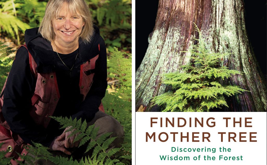 a headshot of author Suzanne Simard next to the cover of her book Finding the Mother Tree