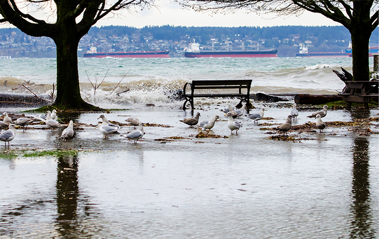 Waves crash onto the West Vancouver Sea Walk, which is also littered with debris. Stanley Park and some ships are seen in the background.