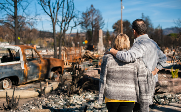 Two people supporting one another while looking at the burnt-out remains of a wildfire.