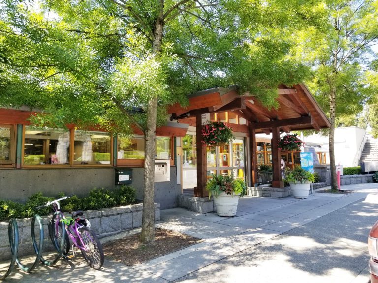 exterior of the library in the summer