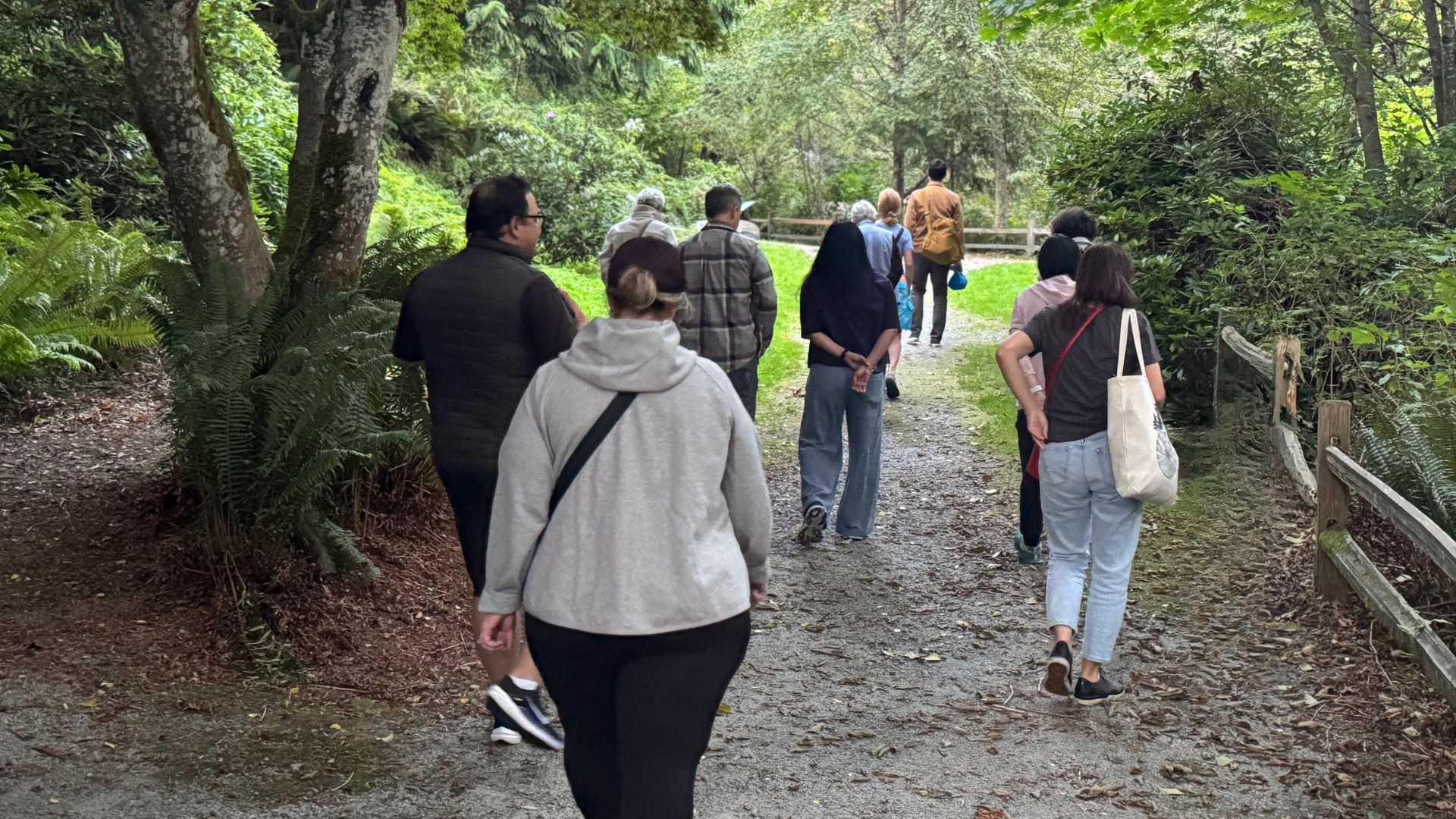 A group of adults walks through a forest.